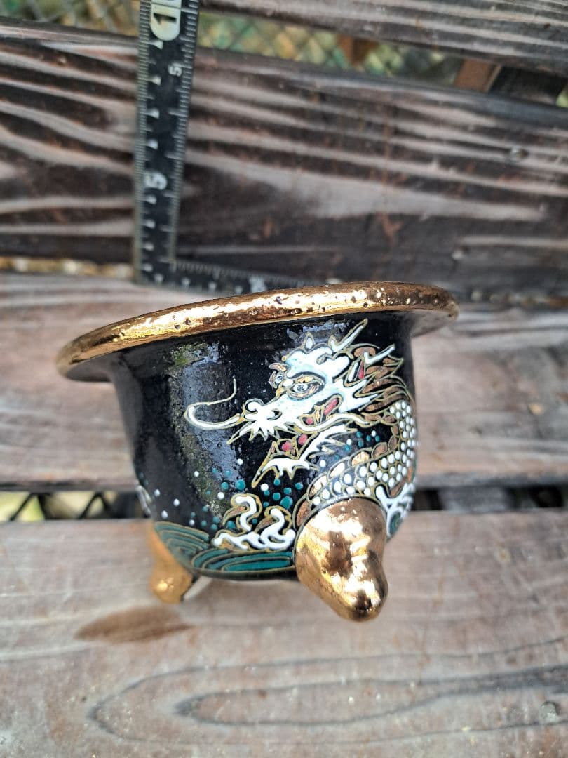 錦鉢　フウラン　富貴蘭　風蘭　鉢　インテリア　植物　伝統園芸　古典植物　植物　蘭