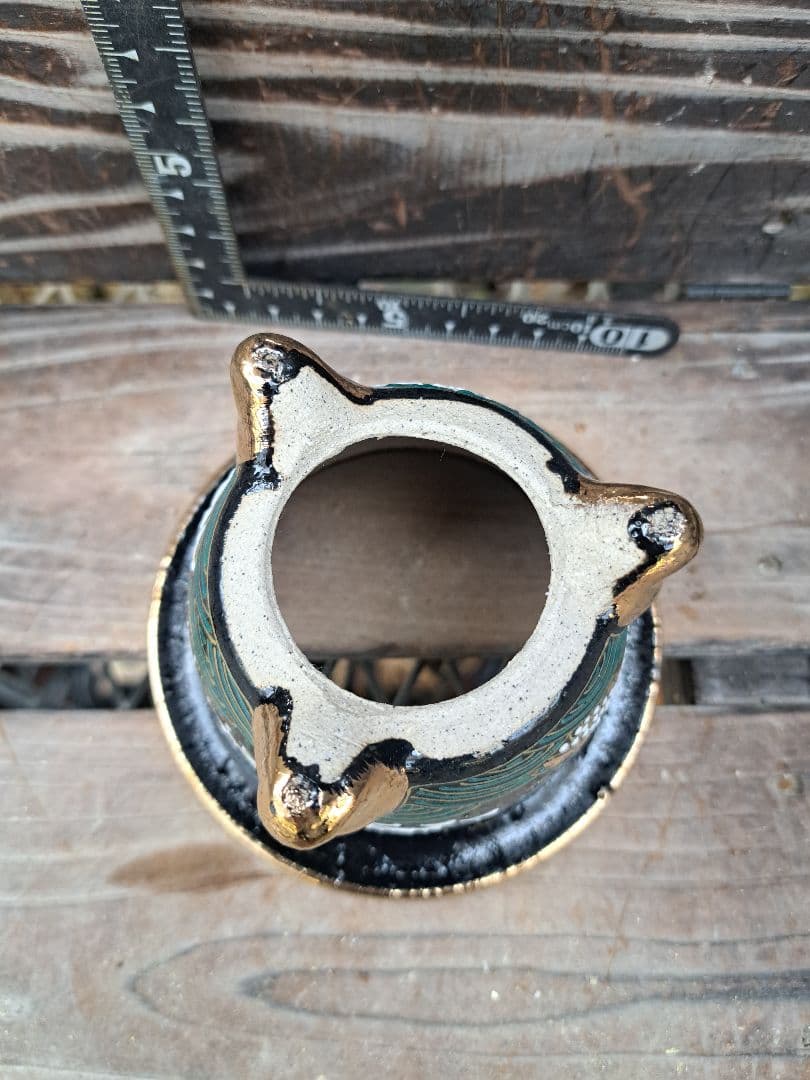 錦鉢　フウラン　富貴蘭　風蘭　鉢　インテリア　植物　伝統園芸　古典植物　植物　蘭