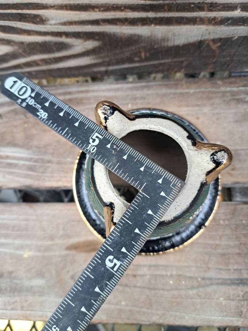 錦鉢　フウラン　富貴蘭　風蘭　鉢　インテリア　植物　伝統園芸　古典植物　植物　蘭