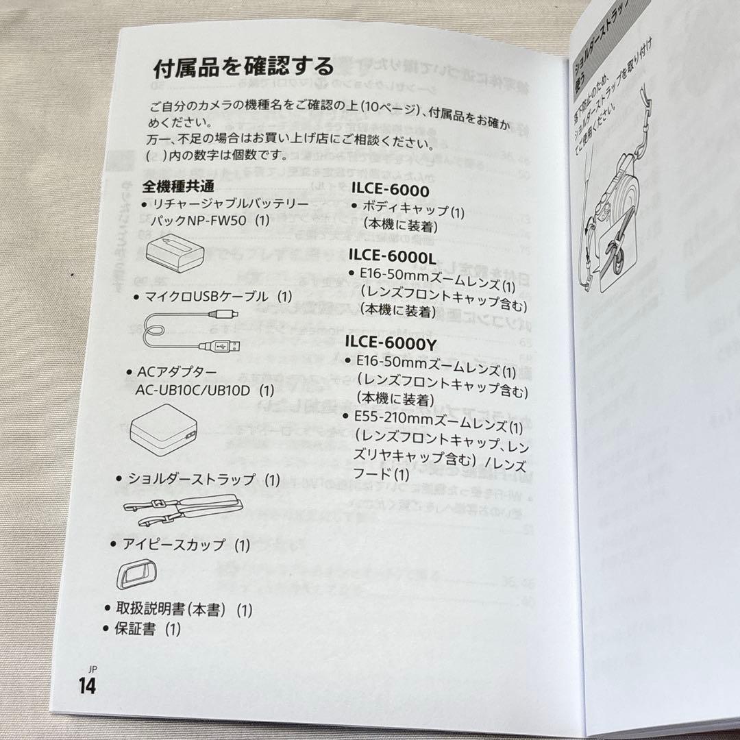 SONY α6000 ILCE-6000Y【ケース付】