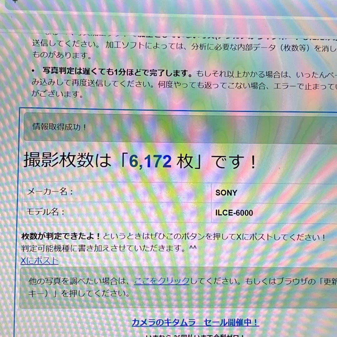 SONY α6000 ILCE-6000Y【ケース付】