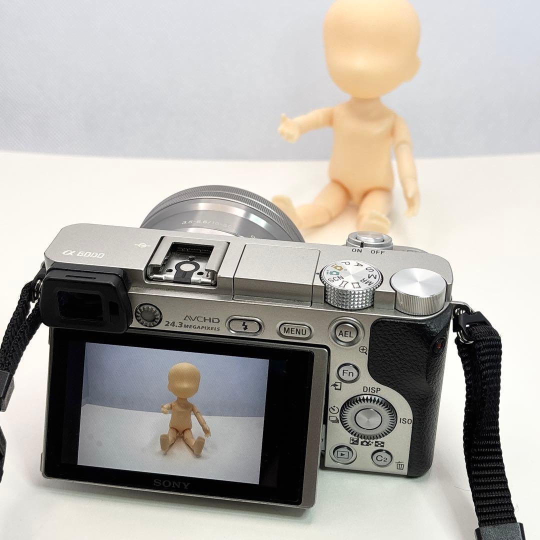 SONY α6000 ILCE-6000Y【ケース付】