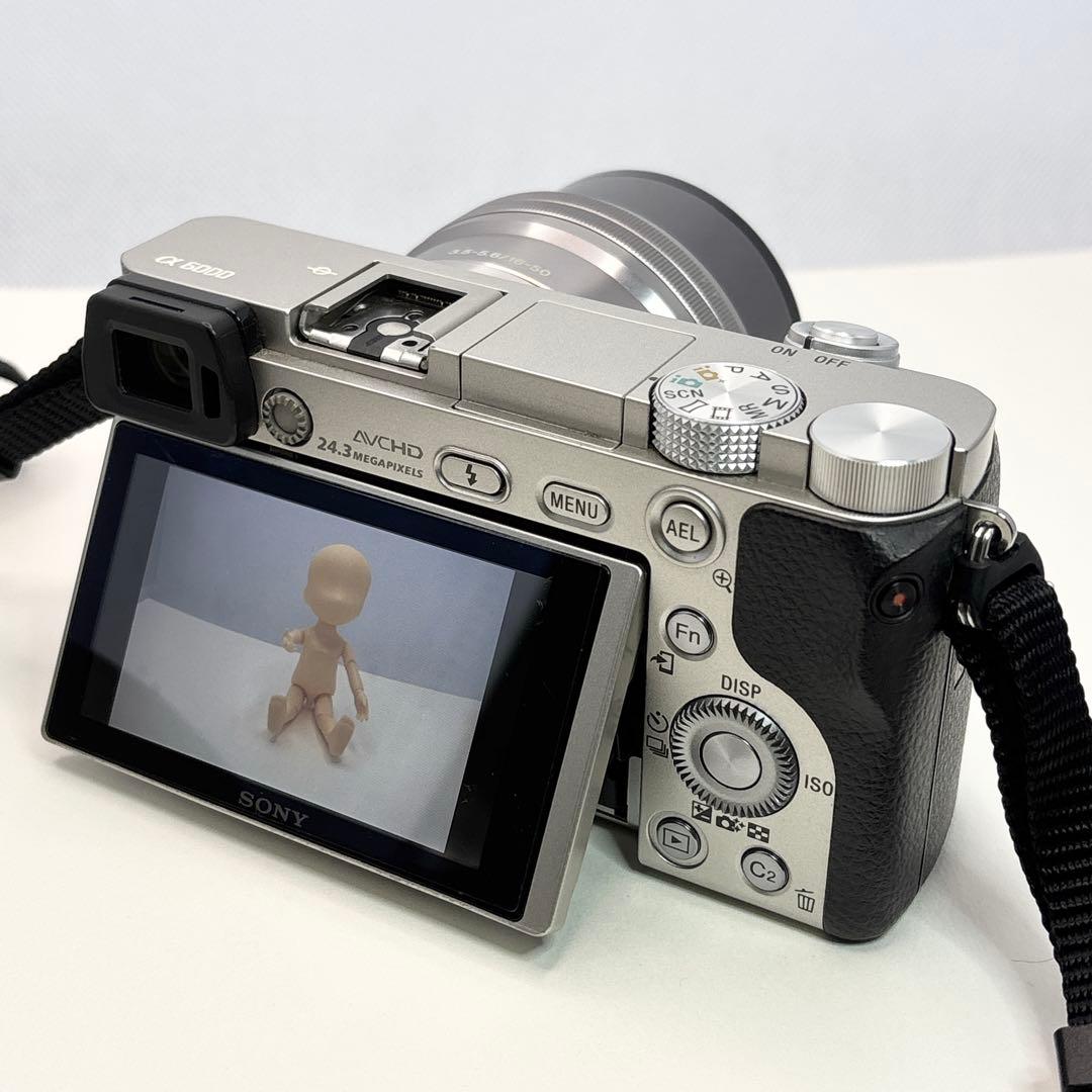SONY α6000 ILCE-6000Y【ケース付】