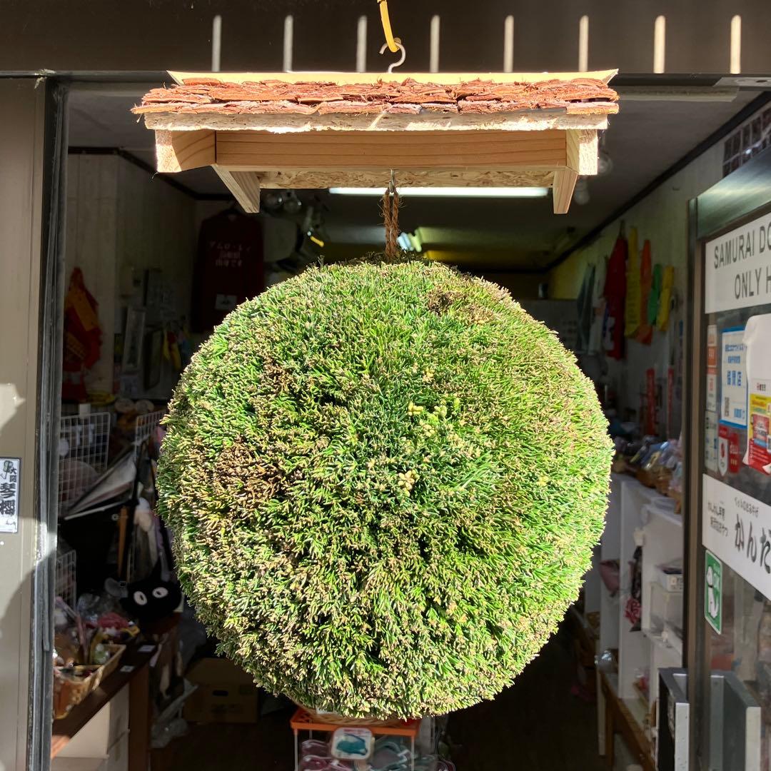 杉玉【屋根付き】⑤