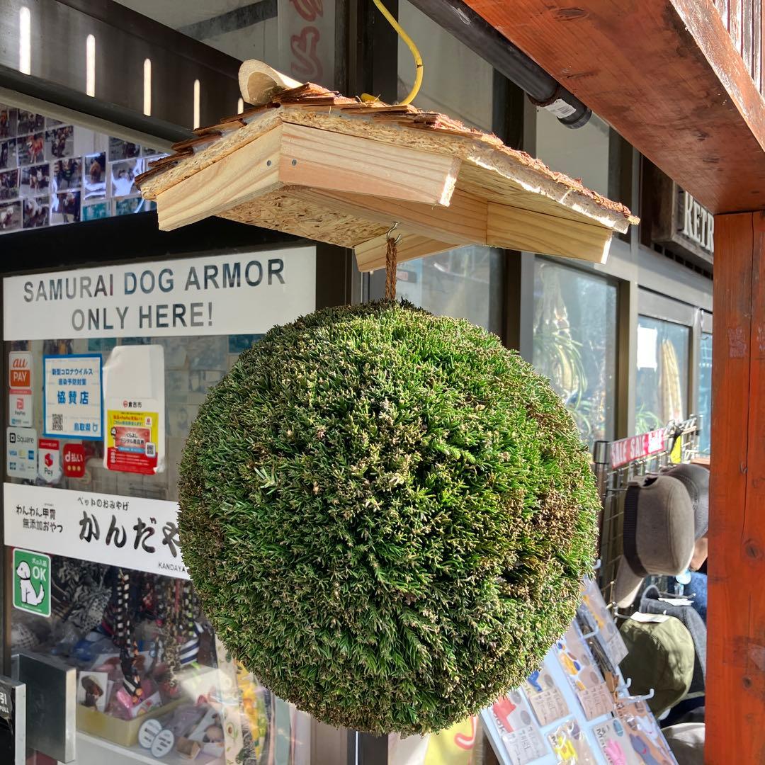 杉玉【屋根付き】⑤