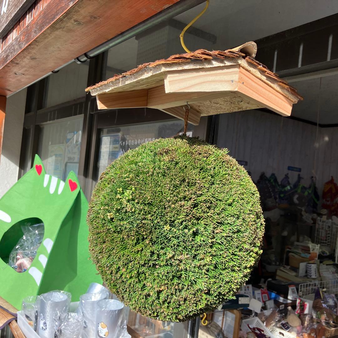 杉玉【屋根付き】⑤