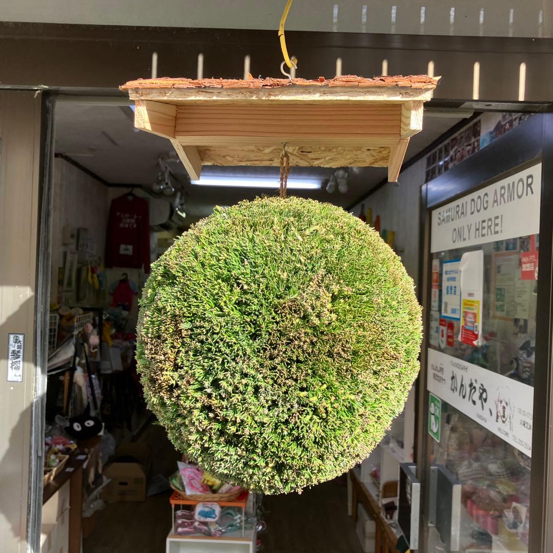 杉玉【屋根付き】⑤