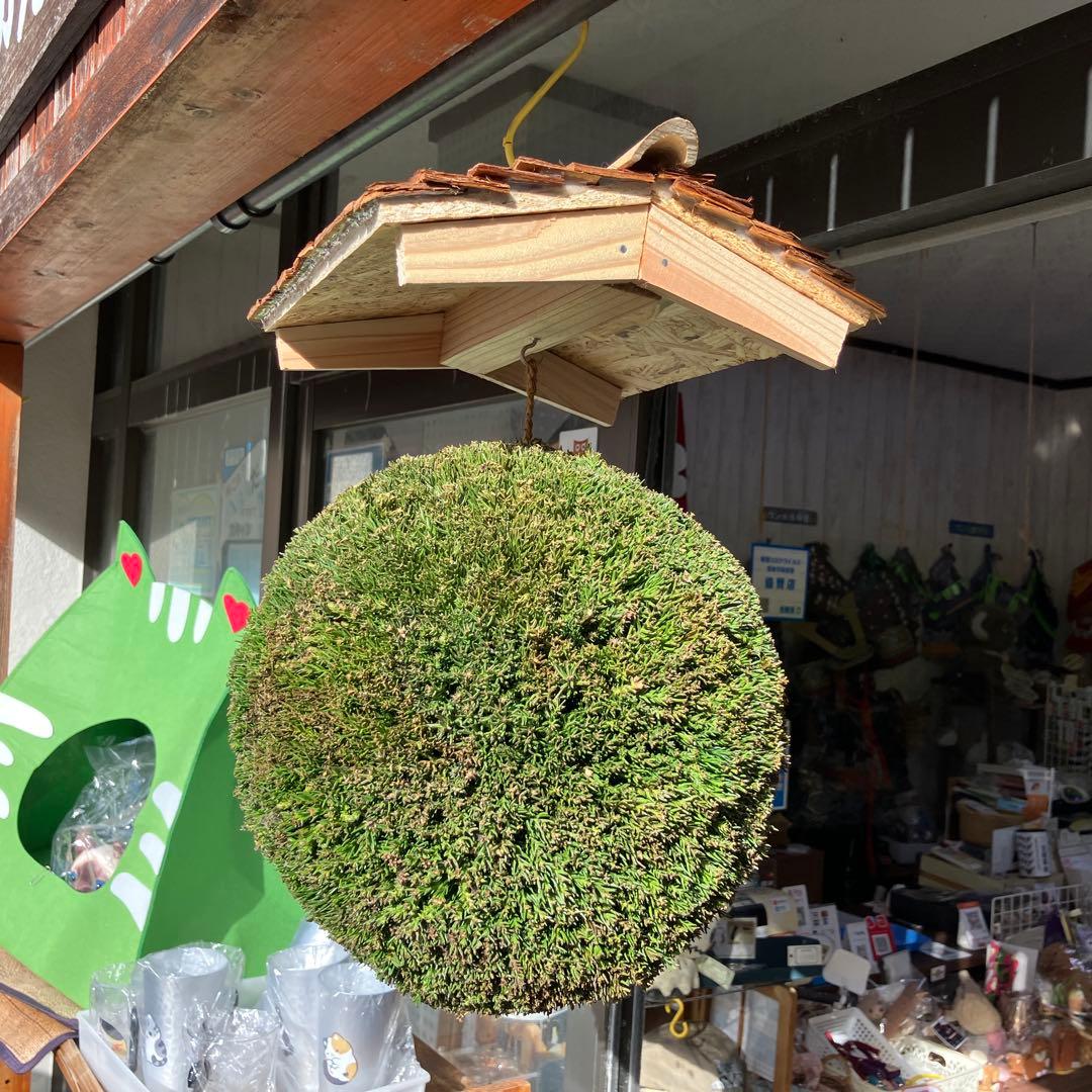 杉玉【屋根付き】⑤