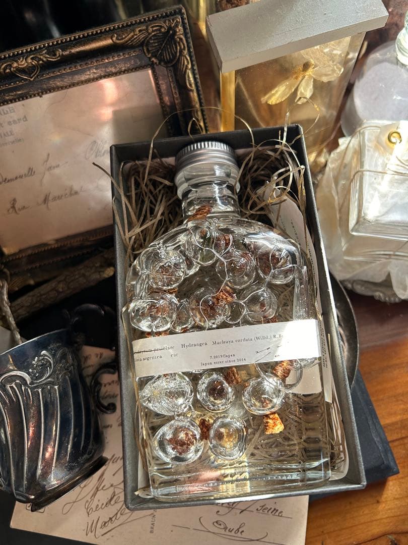 errer ガラスドーム 標本 ハーバリュウム 植物標本 アンティーク