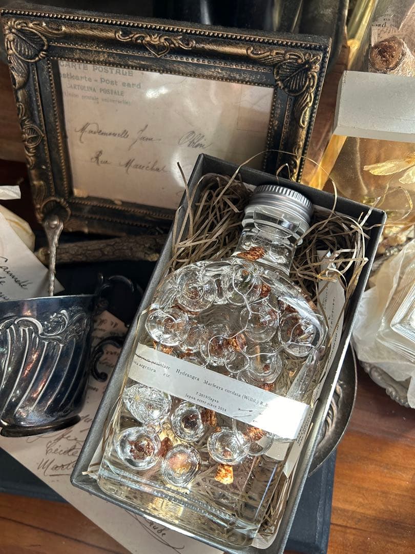 errer ガラスドーム 標本 ハーバリュウム 植物標本 アンティーク