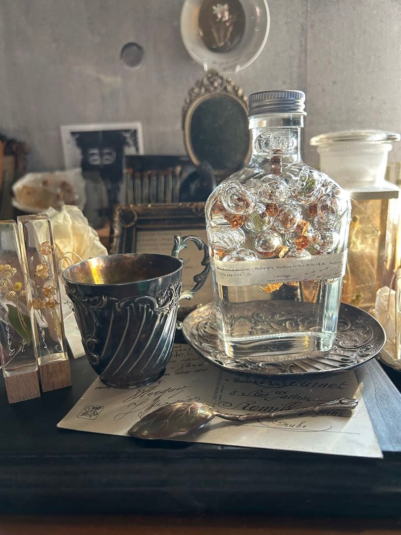 errer ガラスドーム 標本 ハーバリュウム 植物標本 アンティーク