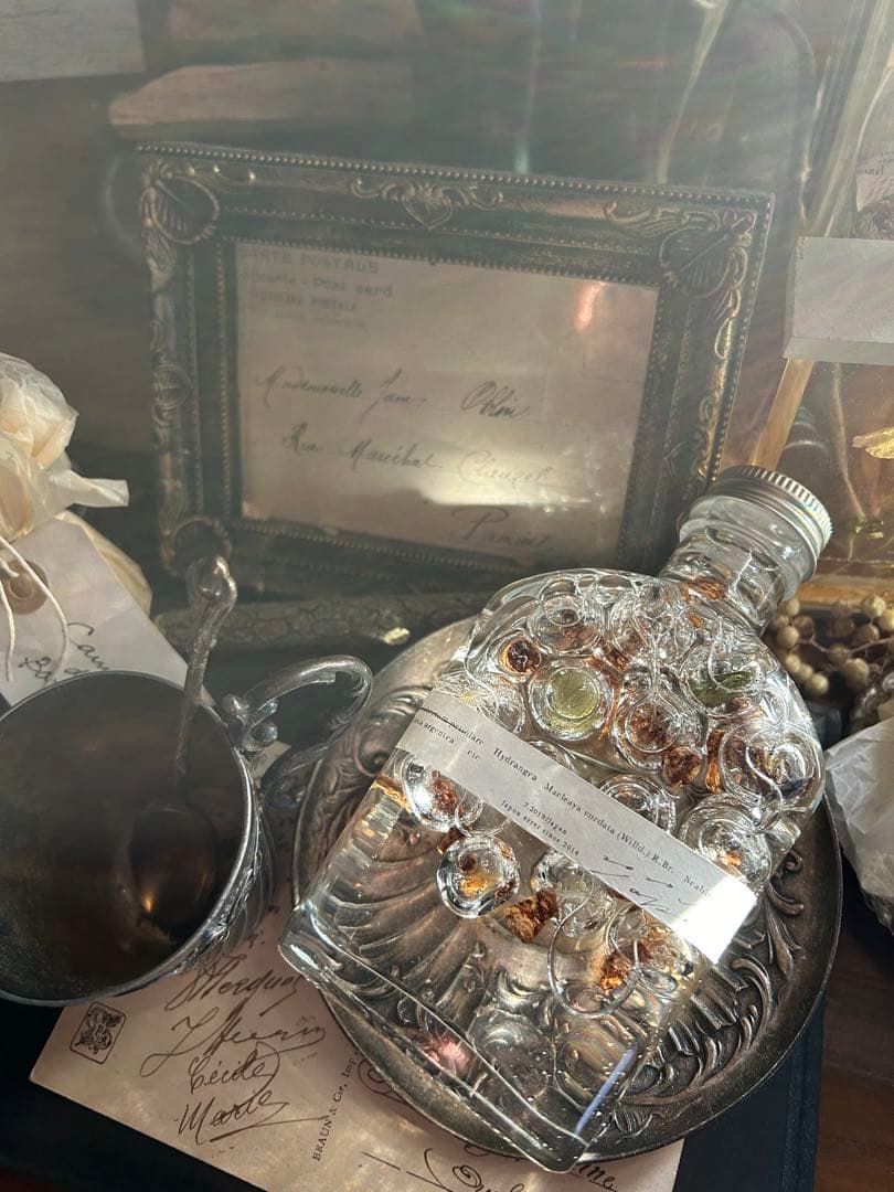 errer ガラスドーム 標本 ハーバリュウム 植物標本 アンティーク