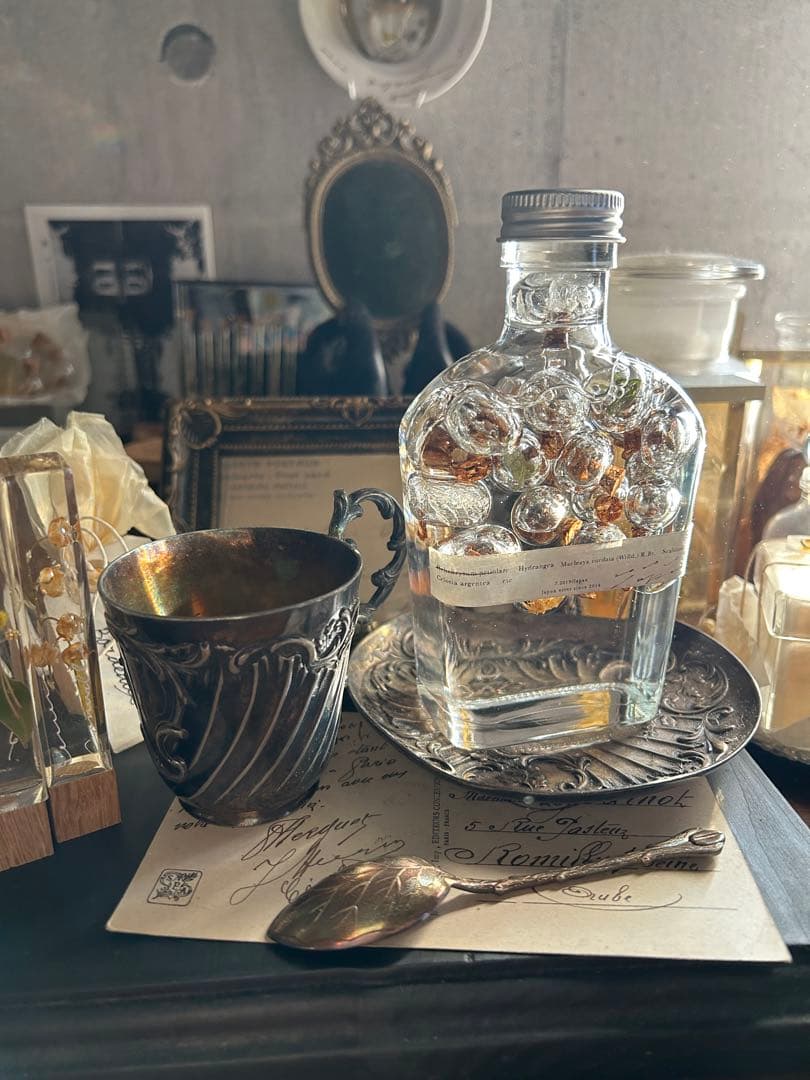 errer ガラスドーム 標本 ハーバリュウム 植物標本 アンティーク