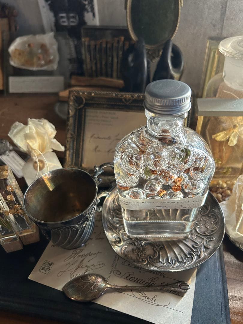 errer ガラスドーム 標本 ハーバリュウム 植物標本 アンティーク