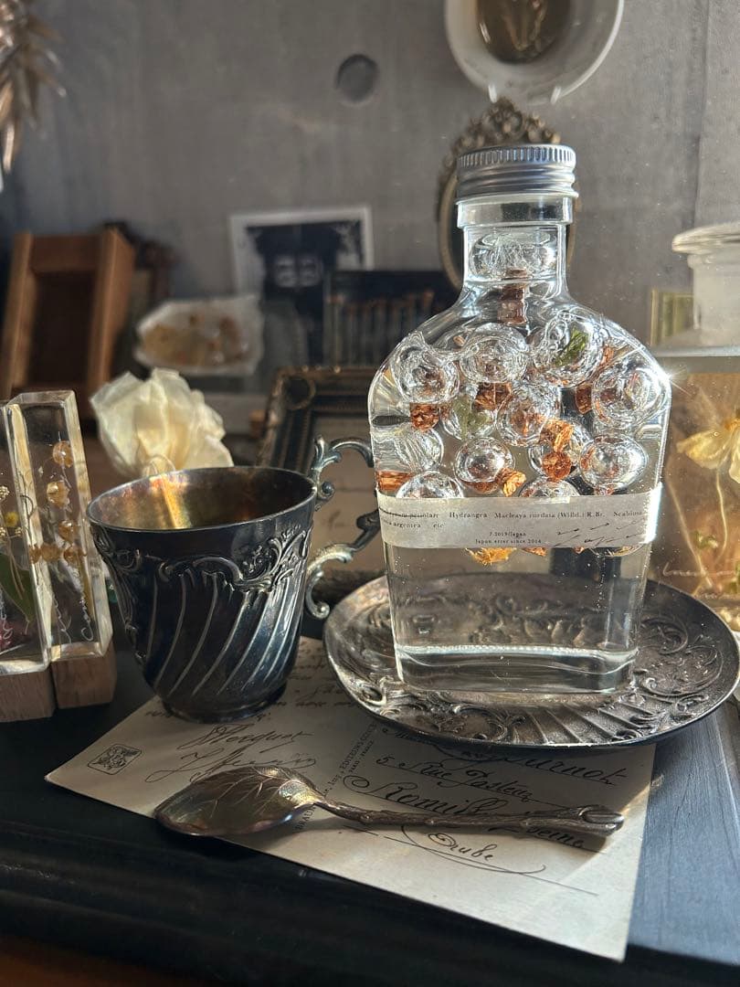 errer ガラスドーム 標本 ハーバリュウム 植物標本 アンティーク