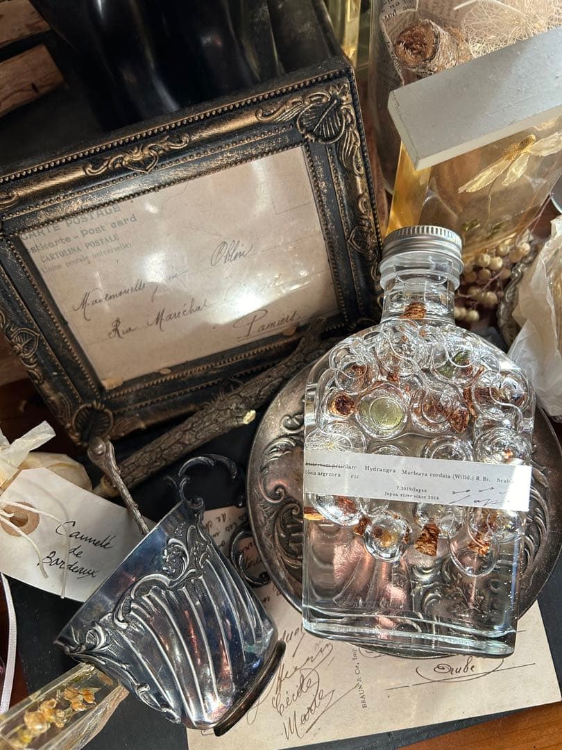 errer ガラスドーム 標本 ハーバリュウム 植物標本 アンティーク