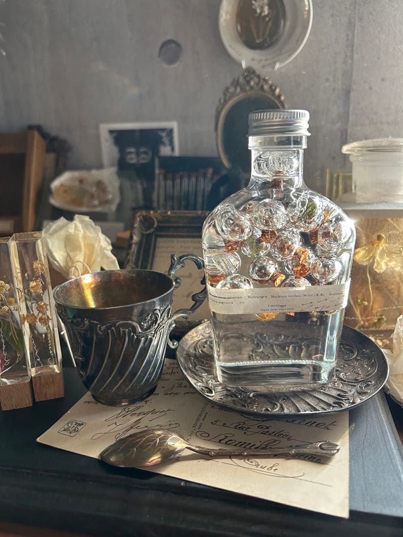 errer ガラスドーム 標本 ハーバリュウム 植物標本 アンティーク