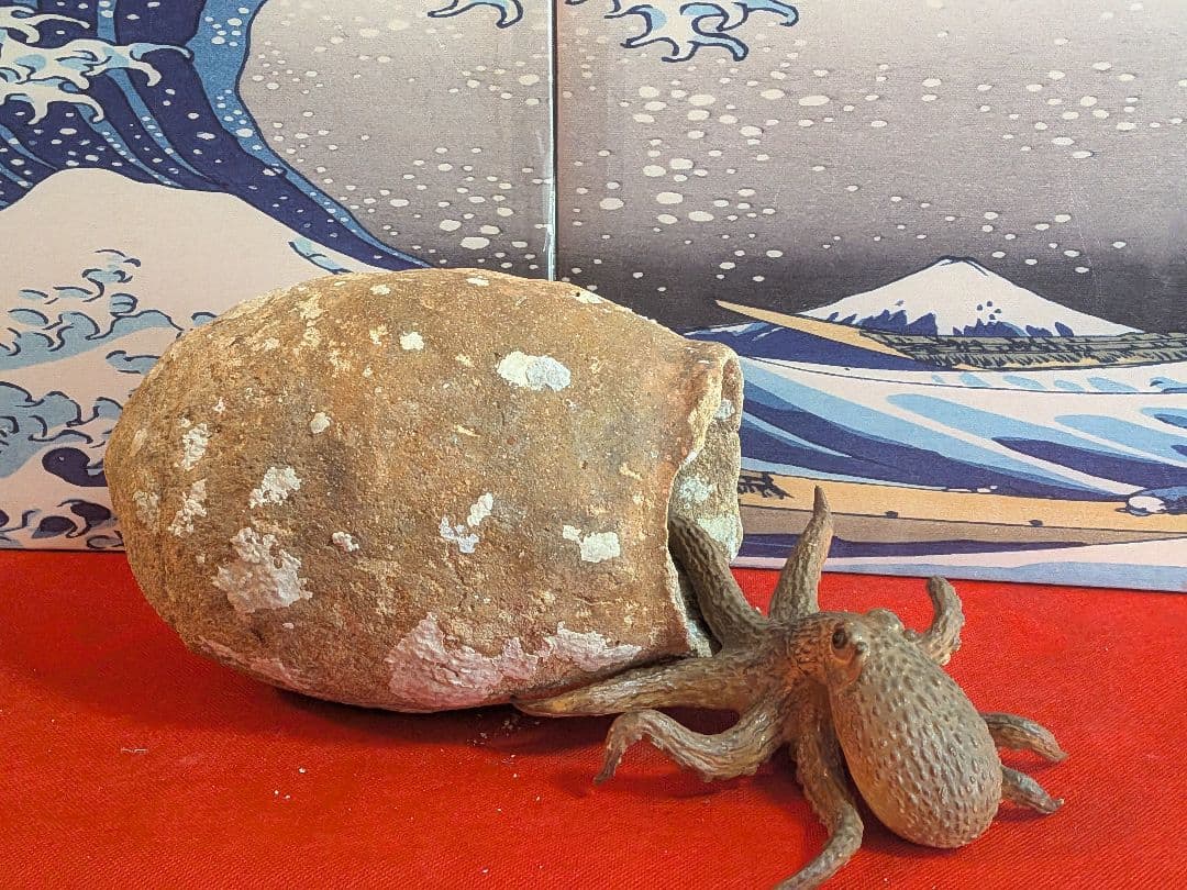 室町時代〜江戸時代頃瀬戸内海海上がり蜂尻形素焼古陶磁器２３センチ蛸壺オブジェ飾り
