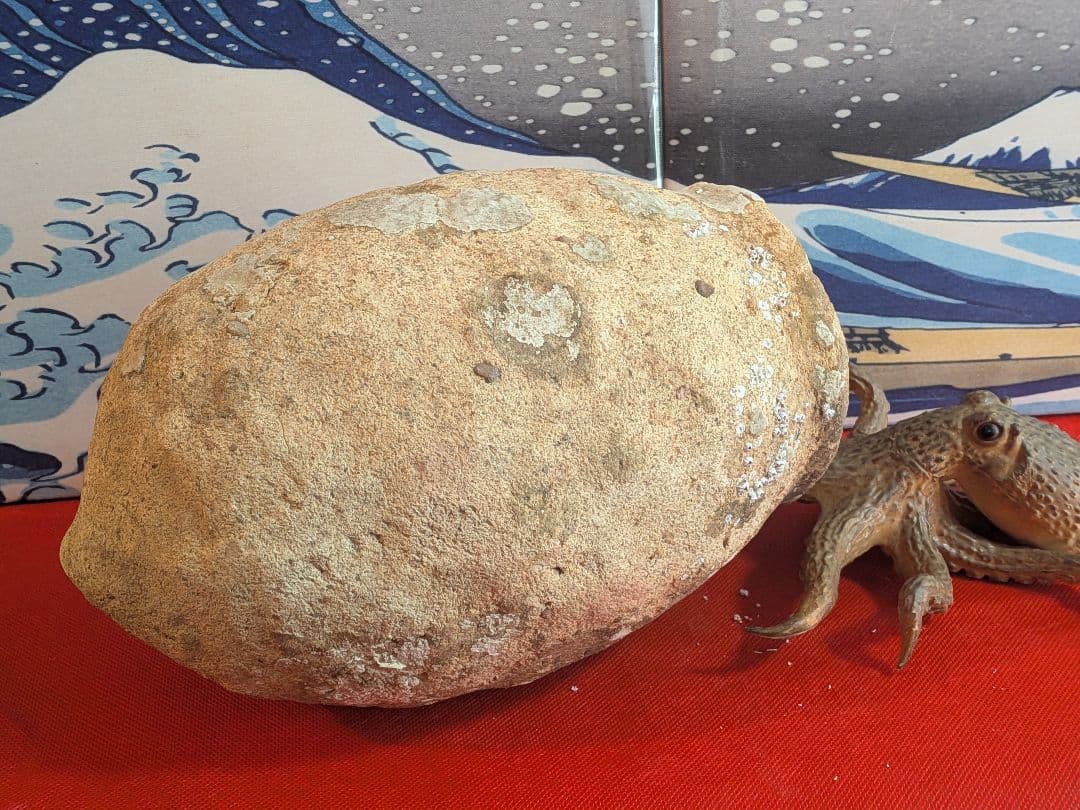 室町時代〜江戸時代頃瀬戸内海海上がり蜂尻形素焼古陶磁器２３センチ蛸壺オブジェ飾り