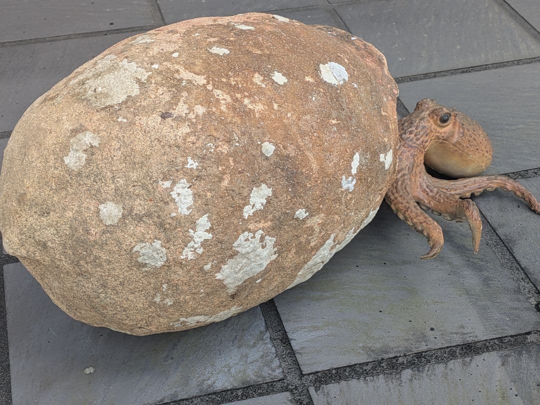 室町時代〜江戸時代頃瀬戸内海海上がり蜂尻形素焼古陶磁器２３センチ蛸壺オブジェ飾り