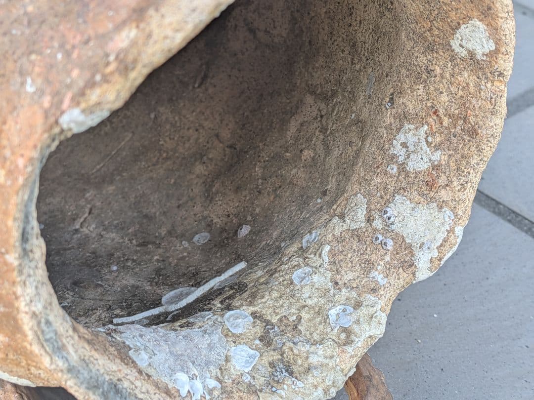 室町時代〜江戸時代頃瀬戸内海海上がり蜂尻形素焼古陶磁器２３センチ蛸壺オブジェ飾り