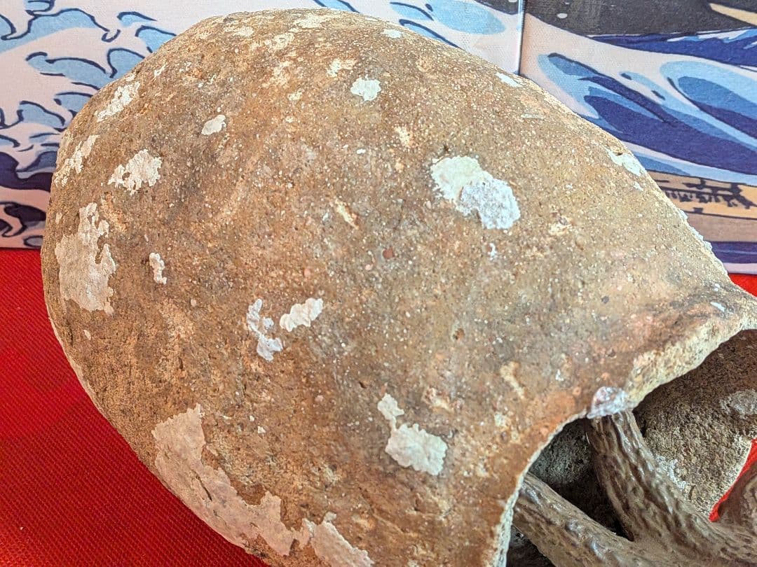 室町時代〜江戸時代頃瀬戸内海海上がり蜂尻形素焼古陶磁器２３センチ蛸壺オブジェ飾り