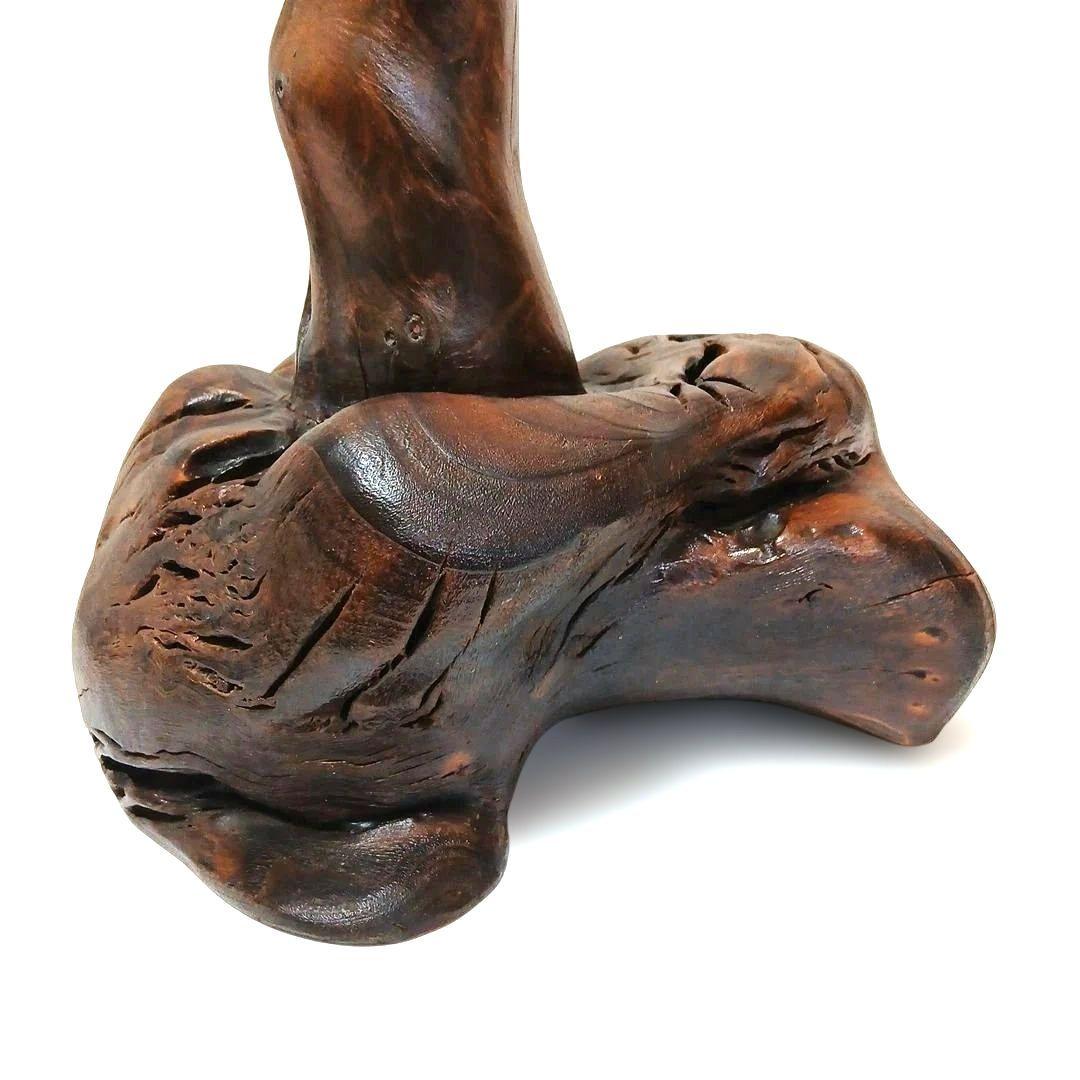 天然木 流木 灯籠 置物 バードアスレチック 止まり木 インテリア 工芸品