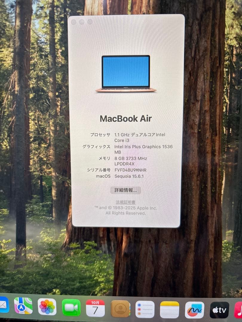 【ジャンク品】Apple MacBook Air ゴールド 本体