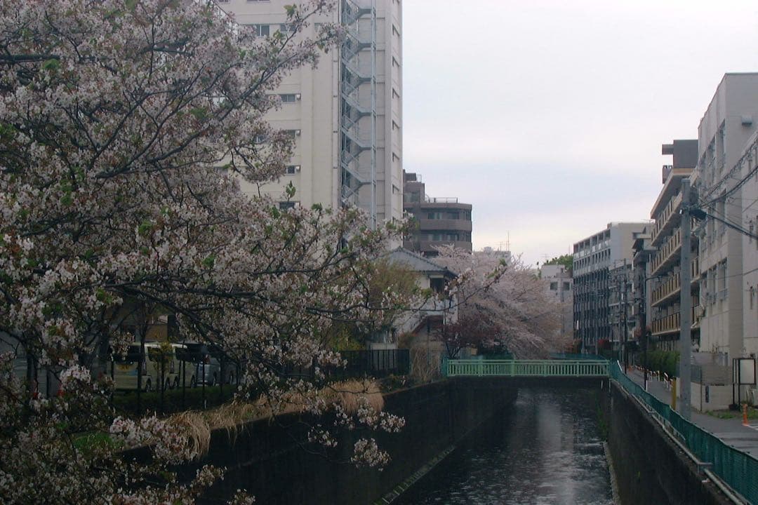 富士フィルム　Finepix 2900Z・（新）バッテリー付き