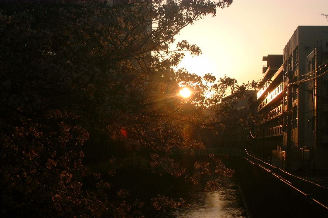 富士フィルム　Finepix 2900Z・（新）バッテリー付き