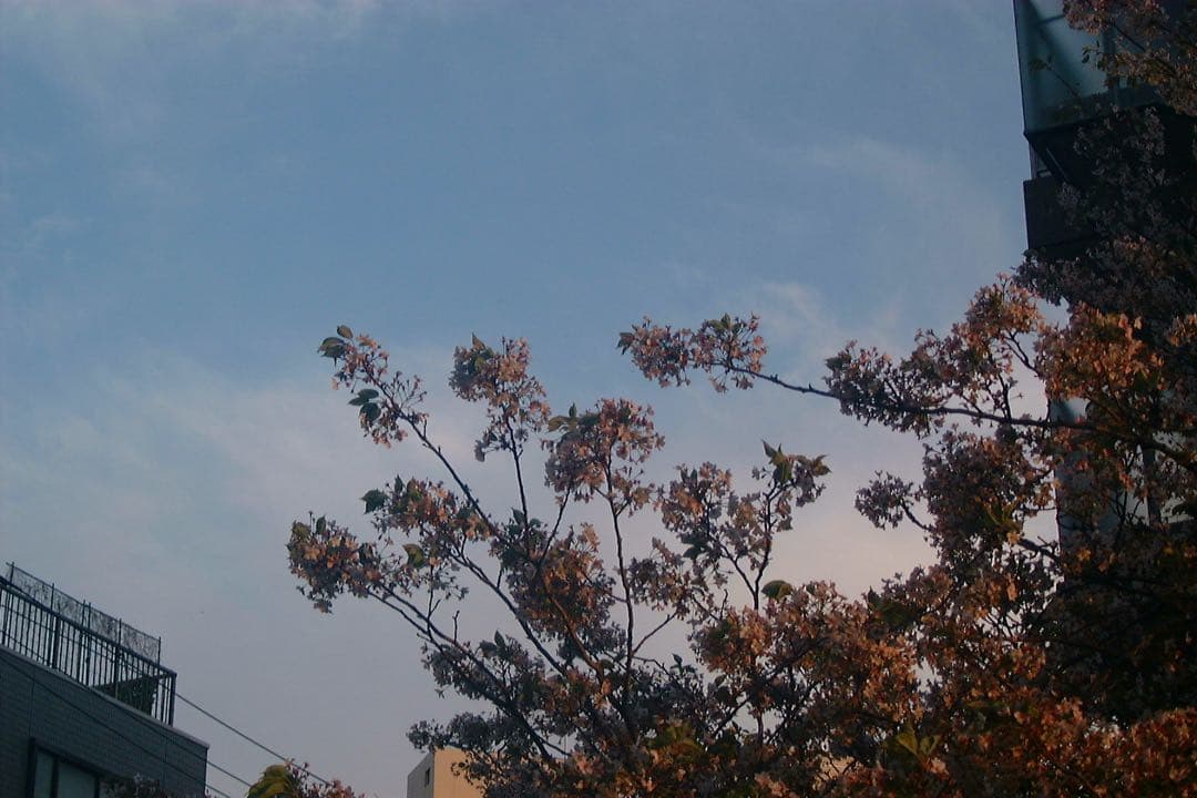 富士フィルム　Finepix 2900Z・（新）バッテリー付き