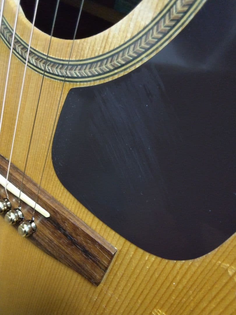 Seagull「SM6 SPRUCE」アコースティックギター　シーガル　GB付き