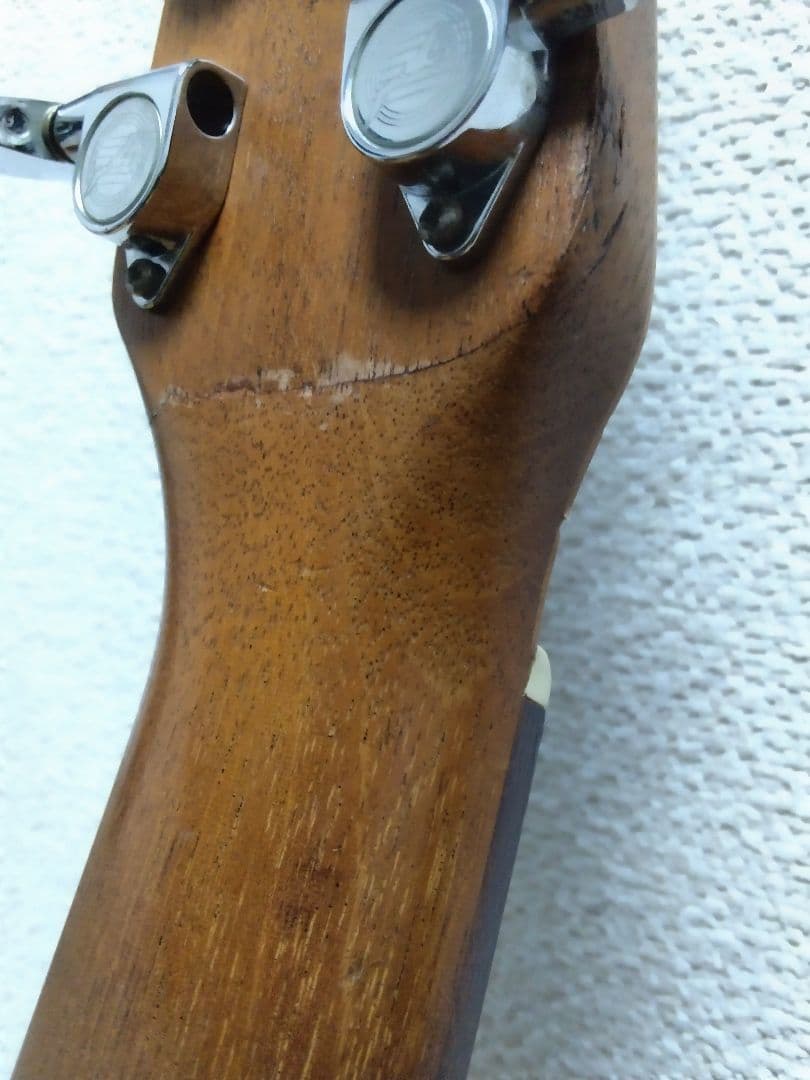 Seagull「SM6 SPRUCE」アコースティックギター　シーガル　GB付き