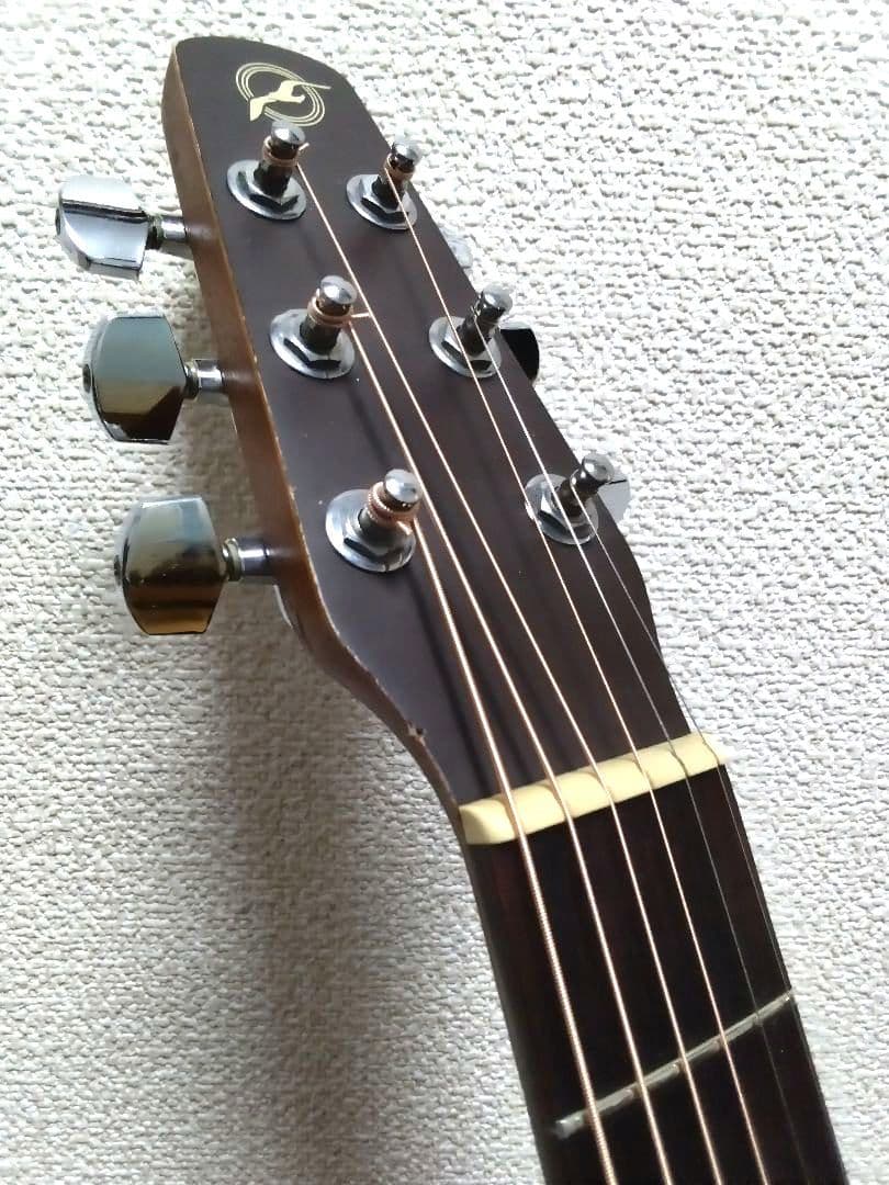 Seagull「SM6 SPRUCE」アコースティックギター　シーガル　GB付き