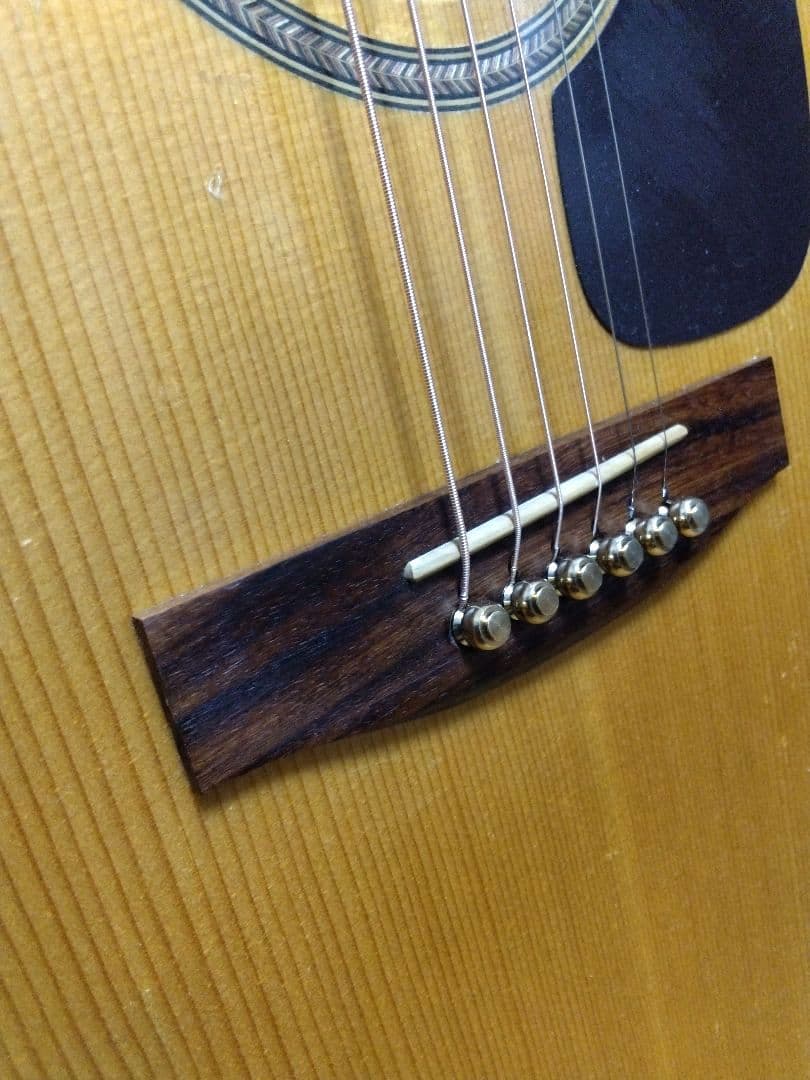 Seagull「SM6 SPRUCE」アコースティックギター　シーガル　GB付き