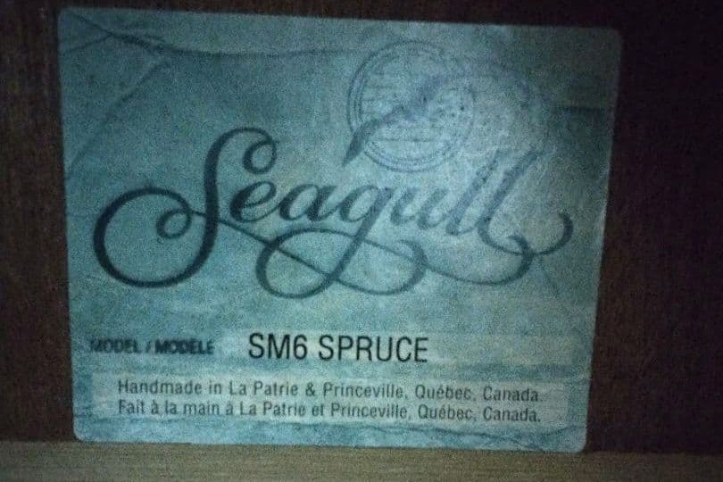 Seagull「SM6 SPRUCE」アコースティックギター　シーガル　GB付き