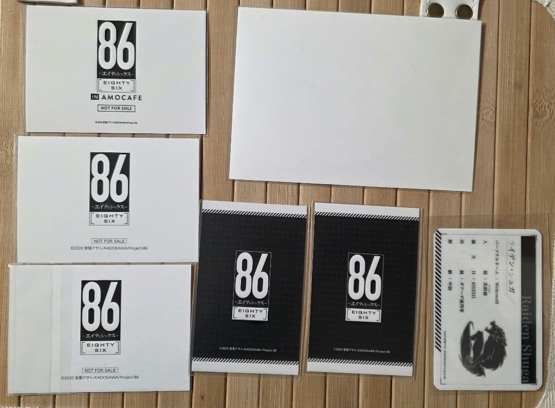 ライデン カードセット