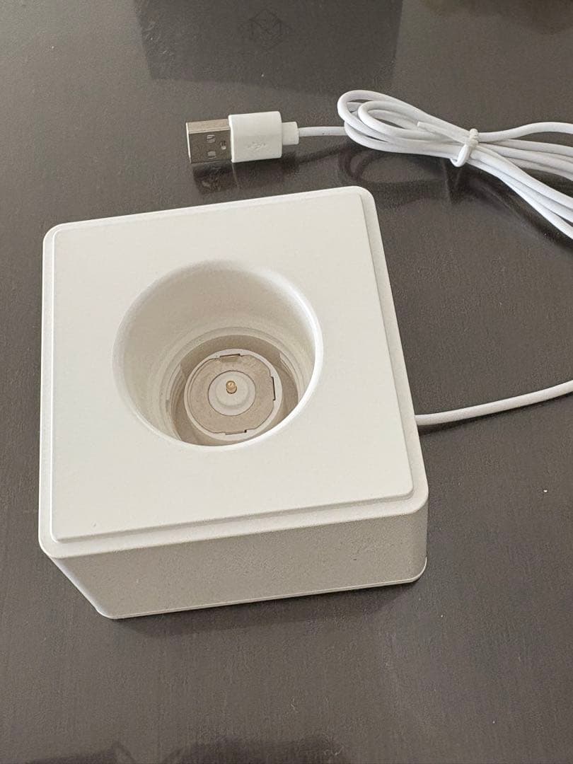 NIZIU 公式 ライトスティック ライトストラップ ライトスティックケース