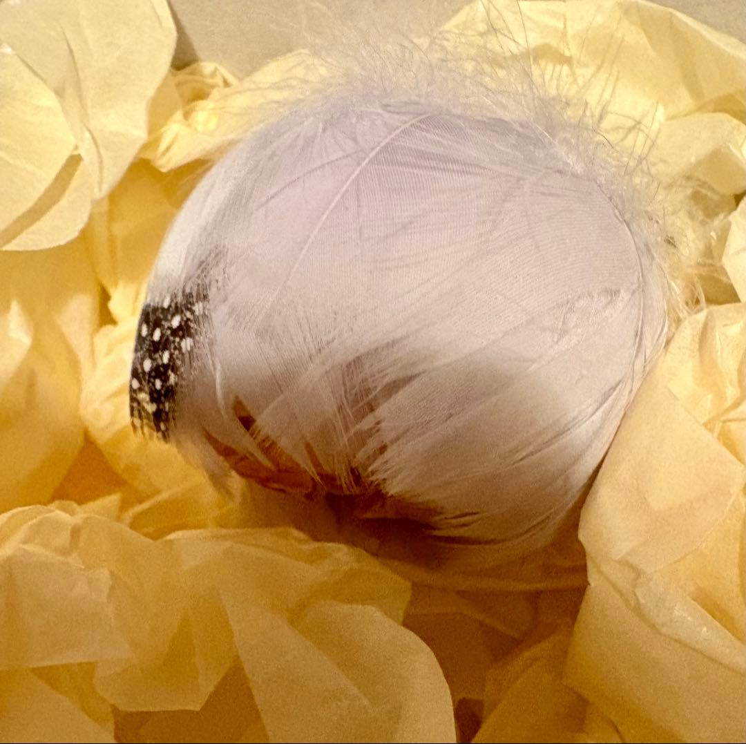 camellia 様 ruban ウィッグ iMda3.0 人形 ドール 羽根