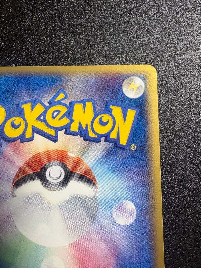 カメックス デルタ種 良品