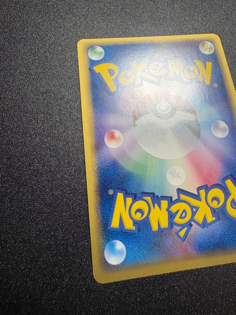 カメックス デルタ種 良品