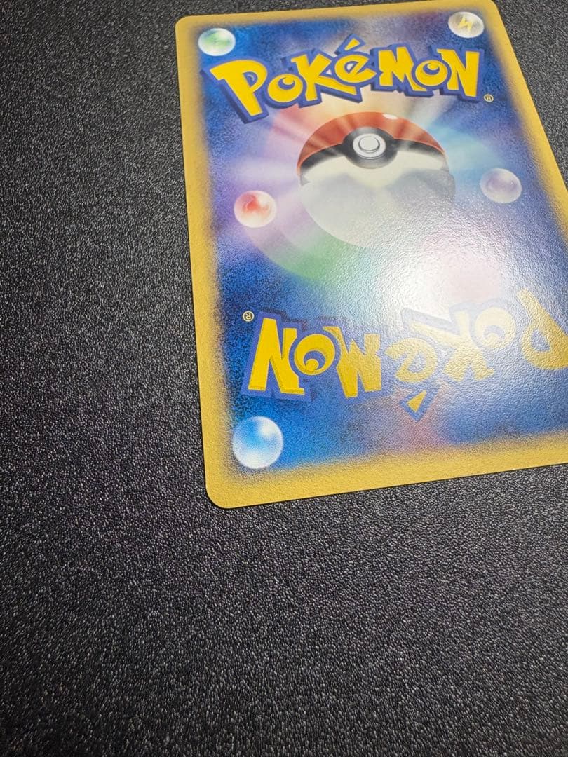 カメックス デルタ種 良品