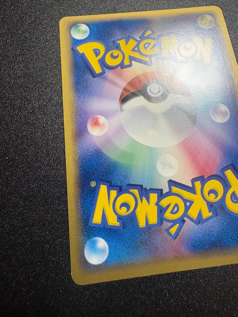 カメックス デルタ種 良品