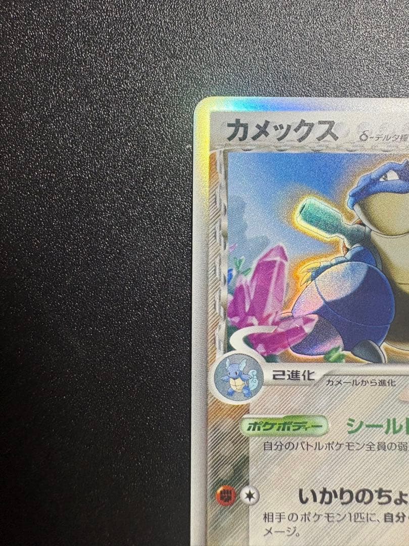 カメックス デルタ種 良品