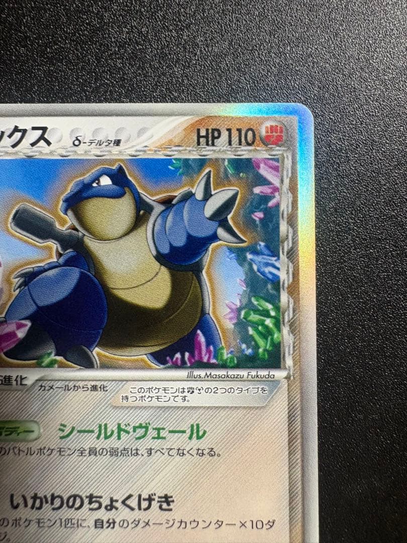 カメックス デルタ種 良品