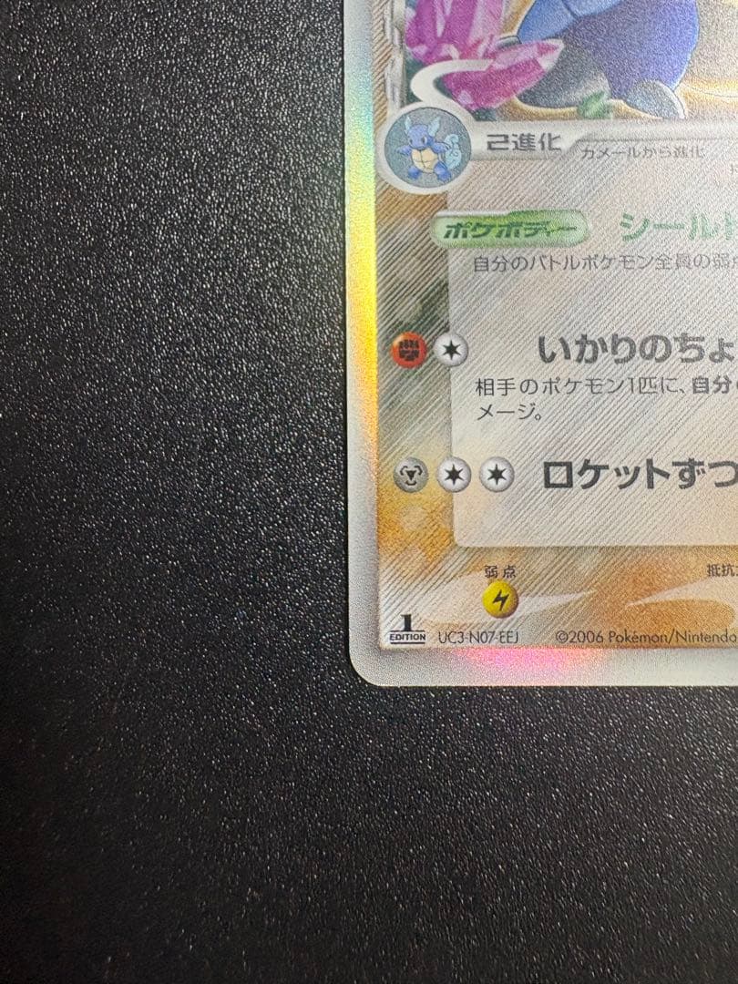 カメックス デルタ種 良品