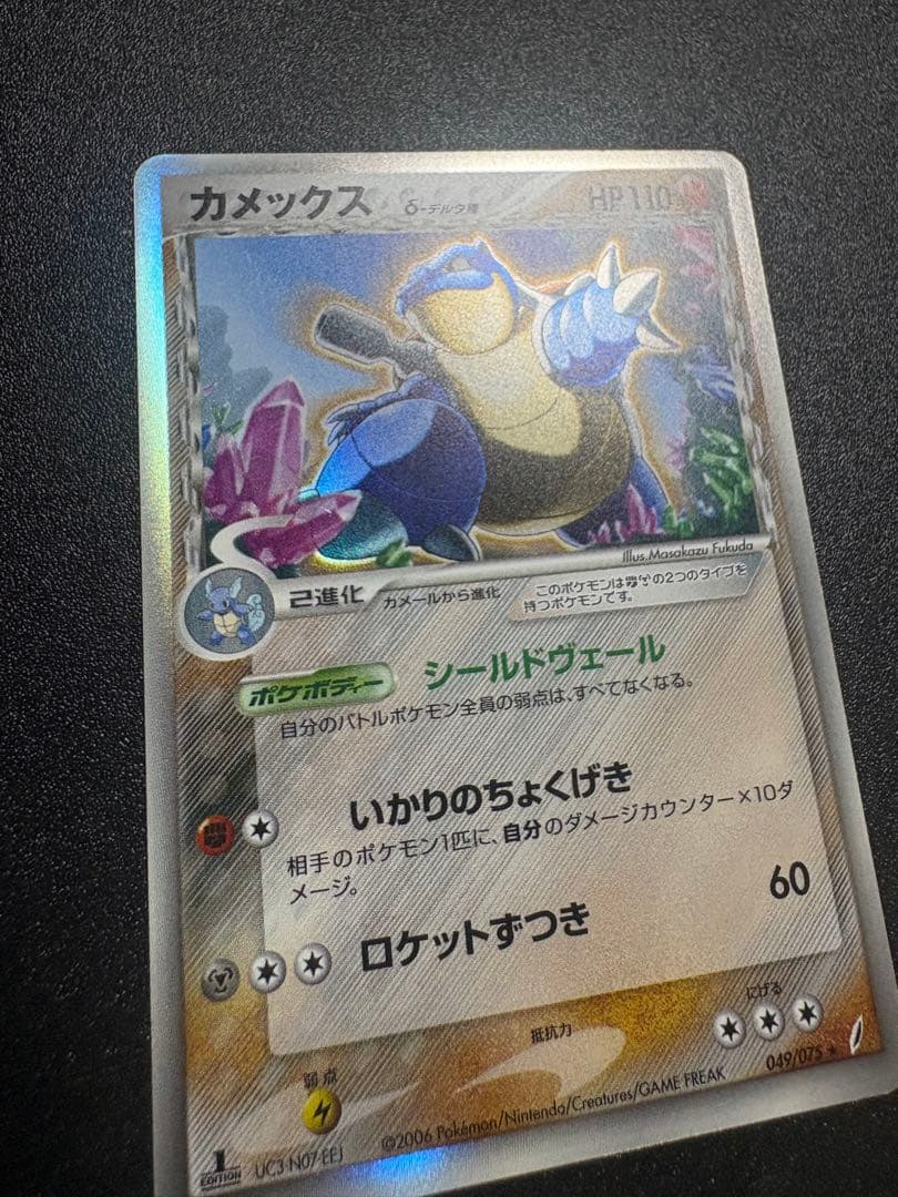 カメックス デルタ種 良品