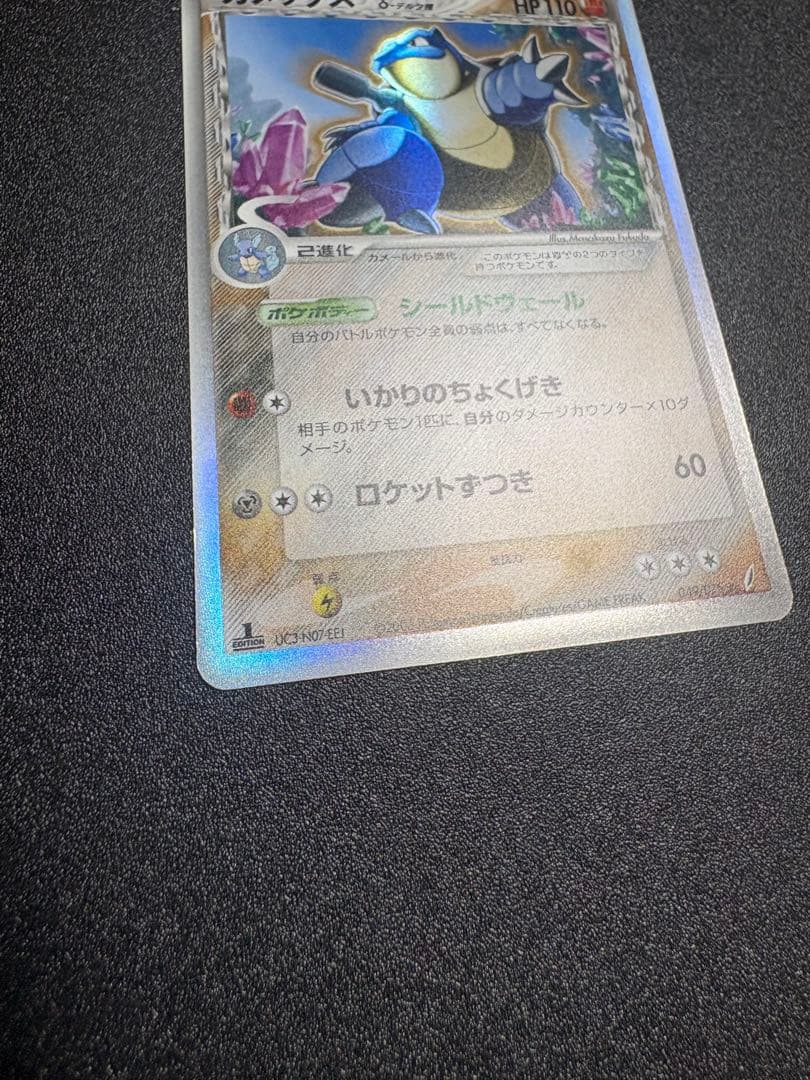 カメックス デルタ種 良品