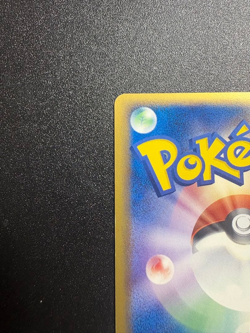 カメックス デルタ種 良品