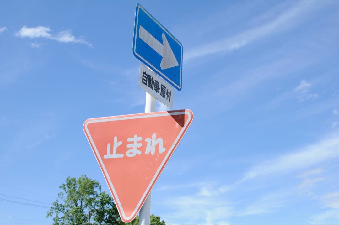 訳ありNikon AF-S DX NIKKOR 35mm f/1.8G